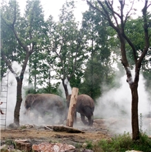 上海野生动物园喷雾降温